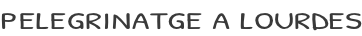 PELEGRINATGE A LOURDES